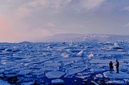 For CEOs, are the days of sidelining global challenges numbered?